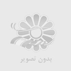 بروکر آلپاری ورشکسته شد!